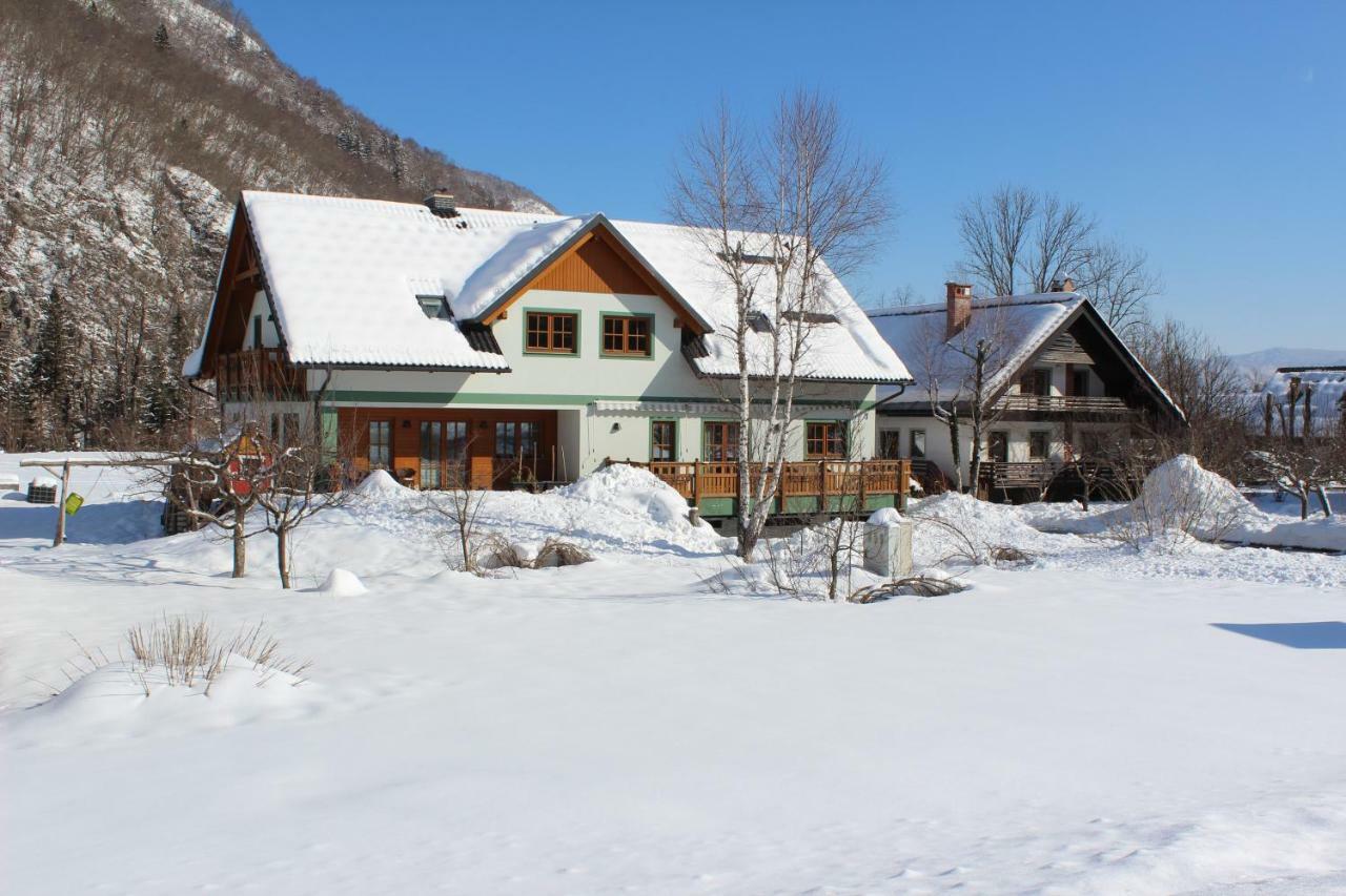 Apartments Villa Dov Bohinj Eksteriør bilde
